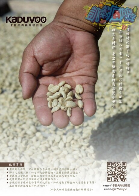 咖啡體驗活動【卡督夫咖啡莊園】德文部落百年咖啡文化洗禮！走進咖啡園 探索原鄉咖啡味/與山共食原異料理饗宴 私房景觀台賞百萬級風景 採預約制(含報名資訊) - 跟著凱南瘋旅遊