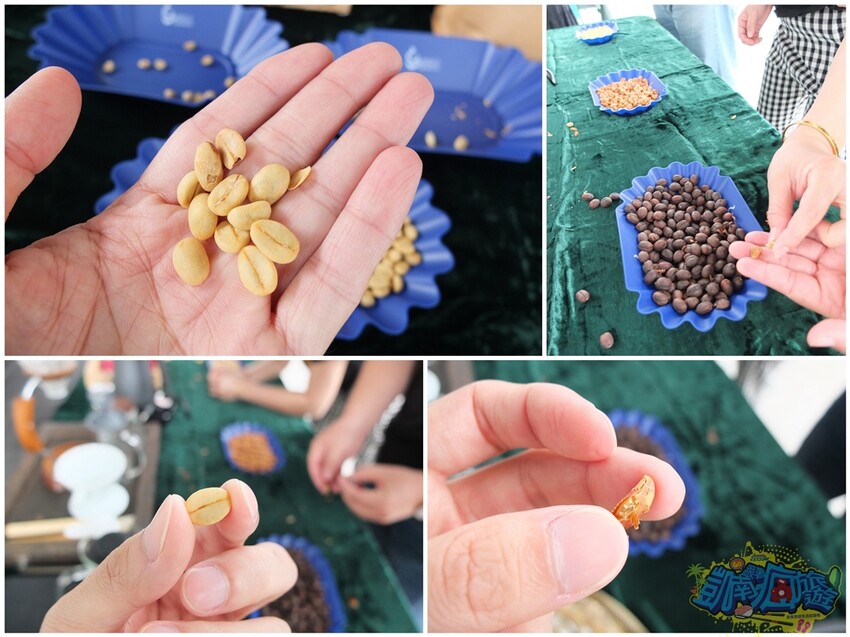 咖啡體驗活動【卡督夫咖啡莊園】德文部落百年咖啡文化洗禮！走進咖啡園 探索原鄉咖啡味/與山共食原異料理饗宴 私房景觀台賞百萬級風景 採預約制(含報名資訊) - 跟著凱南瘋旅遊