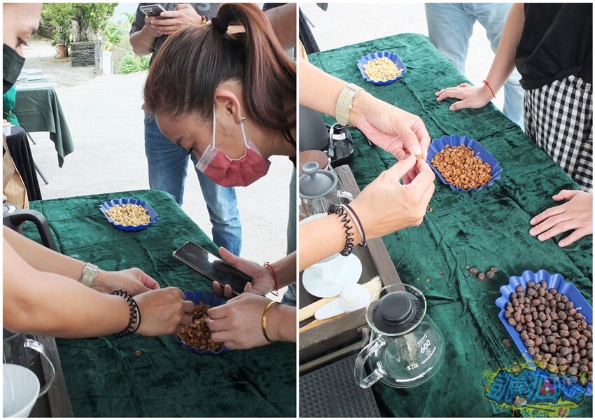 咖啡體驗活動【卡督夫咖啡莊園】德文部落百年咖啡文化洗禮！走進咖啡園 探索原鄉咖啡味/與山共食原異料理饗宴 私房景觀台賞百萬級風景 採預約制(含報名資訊) - 跟著凱南瘋旅遊