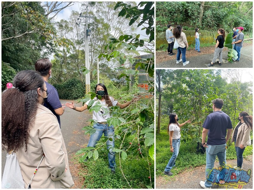 咖啡體驗活動【卡督夫咖啡莊園】德文部落百年咖啡文化洗禮！走進咖啡園 探索原鄉咖啡味/與山共食原異料理饗宴 私房景觀台賞百萬級風景 採預約制(含報名資訊) - 跟著凱南瘋旅遊