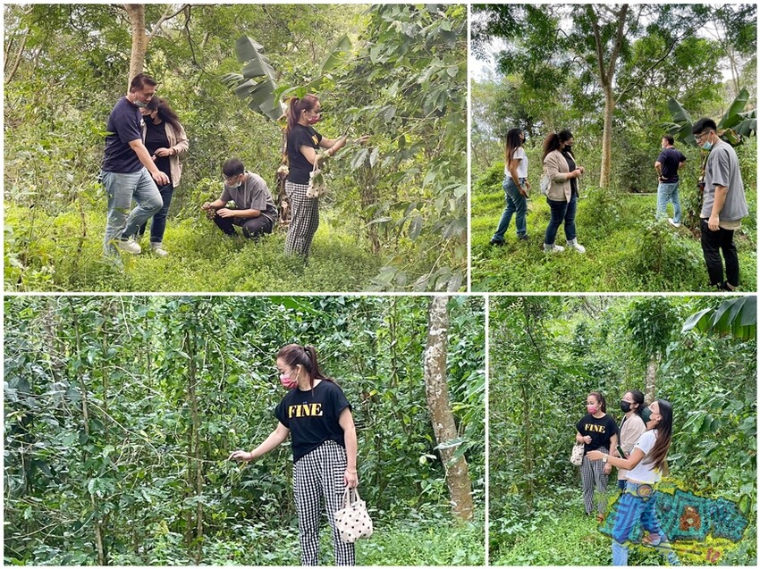 咖啡體驗活動【卡督夫咖啡莊園】德文部落百年咖啡文化洗禮！走進咖啡園 探索原鄉咖啡味/與山共食原異料理饗宴 私房景觀台賞百萬級風景 採預約制(含報名資訊) - 跟著凱南瘋旅遊