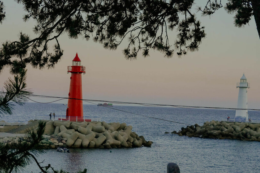 秀敏家炭火烤蛤蠣 Ｘ魔王 韓國釜山青沙浦美食推薦 綜合烤貝類新鮮味美