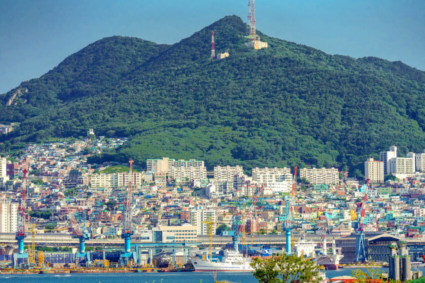 秀敏家炭火烤蛤蠣 Ｘ魔王 韓國釜山青沙浦美食推薦 綜合烤貝類新鮮味美