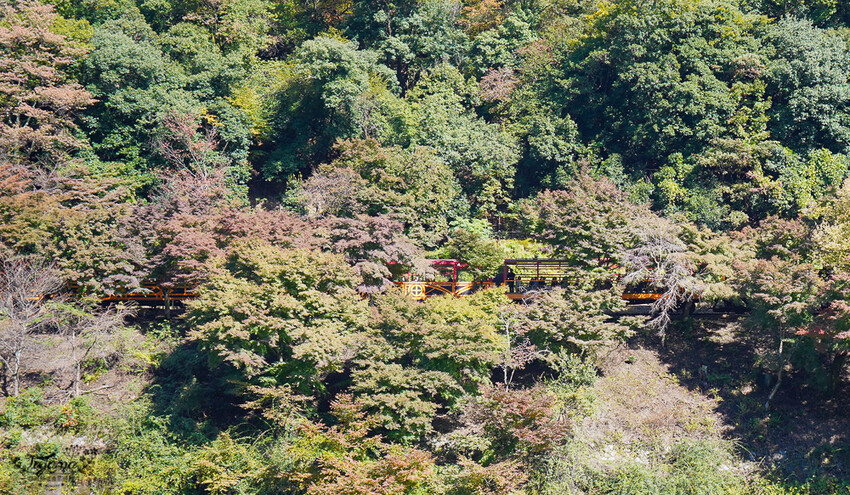 虹夕諾雅 京都|星のや京都:京都嵐山趨之若鶩的夢幻之宿 @緹雅瑪 美食旅遊趣