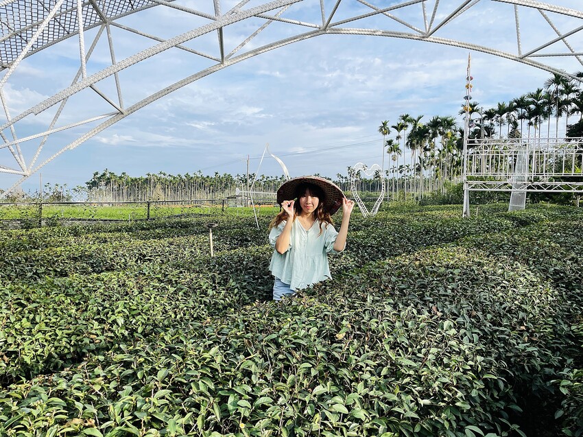 【茶二指故事館】南投名間熱門景點！巨型珍奶超好拍！買茶葉免費住「春秋茶事x彩虹水管屋」，獨家「白鷺紅茶拉麵」必吃！
