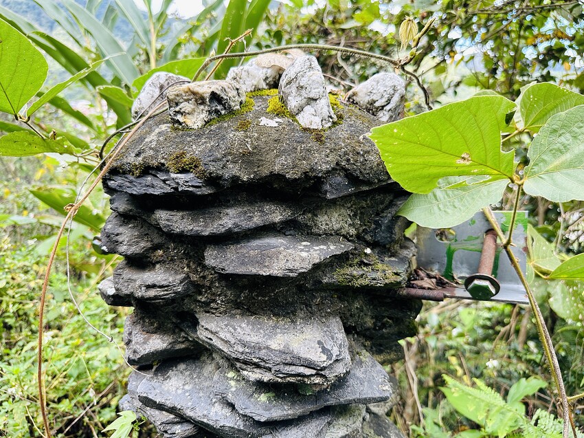 【蟬說：和社山林】教育中心四人房ｘ手作體驗│蟬說雅築ｘ泡山林秘境溫泉│深度走訪羅娜部落ｘ體驗木杵敲擊│梅子夢工廠ｘ梅精酵素霜淇淋