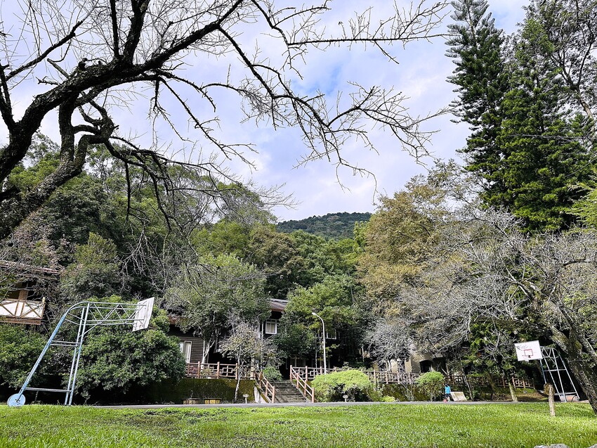 【蟬說：和社山林】教育中心四人房ｘ手作體驗│蟬說雅築ｘ泡山林秘境溫泉│深度走訪羅娜部落ｘ體驗木杵敲擊│梅子夢工廠ｘ梅精酵素霜淇淋