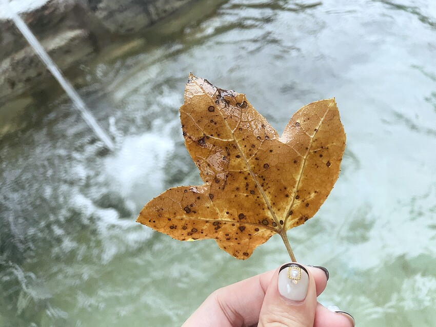 【蟬說：和社山林】教育中心四人房ｘ手作體驗│蟬說雅築ｘ泡山林秘境溫泉│深度走訪羅娜部落ｘ體驗木杵敲擊│梅子夢工廠ｘ梅精酵素霜淇淋