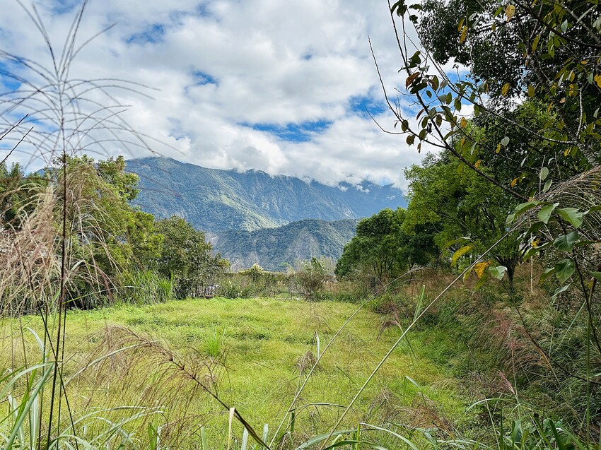 【蟬說：和社山林】教育中心四人房ｘ手作體驗│蟬說雅築ｘ泡山林秘境溫泉│深度走訪羅娜部落ｘ體驗木杵敲擊│梅子夢工廠ｘ梅精酵素霜淇淋
