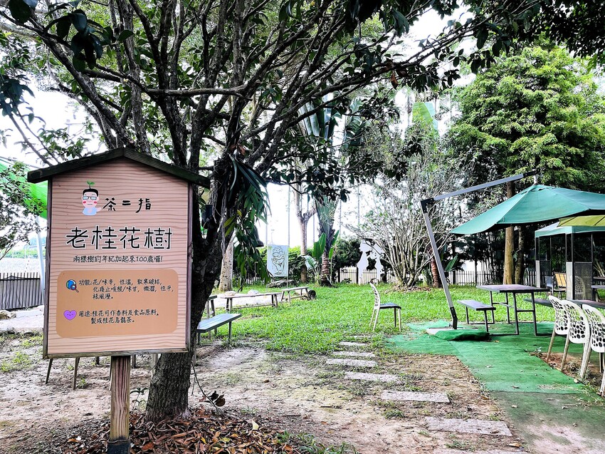 【茶二指故事館】南投名間熱門景點！巨型珍奶超好拍！買茶葉免費住「春秋茶事x彩虹水管屋」，獨家「白鷺紅茶拉麵」必吃！