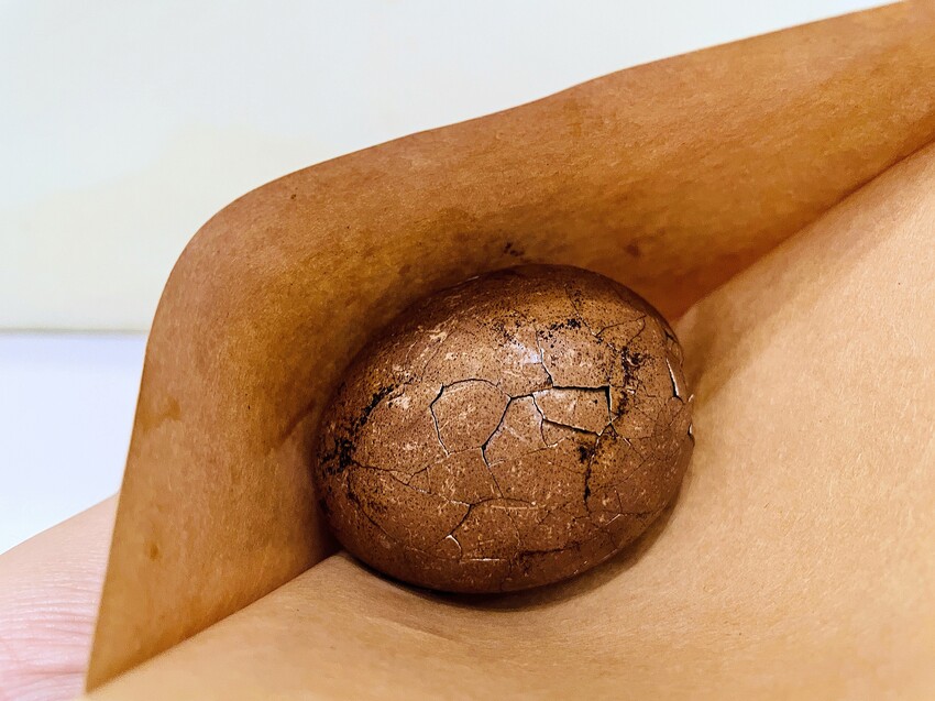 【茶二指故事館】南投名間熱門景點！巨型珍奶超好拍！買茶葉免費住「春秋茶事x彩虹水管屋」，獨家「白鷺紅茶拉麵」必吃！