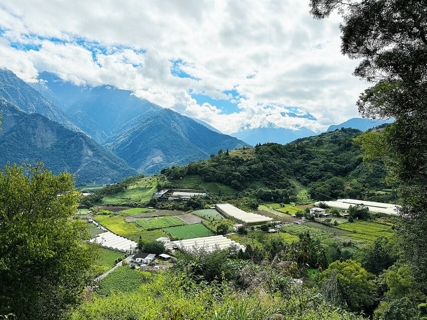 【蟬說：和社山林】教育中心四人房ｘ手作體驗│蟬說雅築ｘ泡山林秘境溫泉│深度走訪羅娜部落ｘ體驗木杵敲擊│梅子夢工廠ｘ梅精酵素霜淇淋