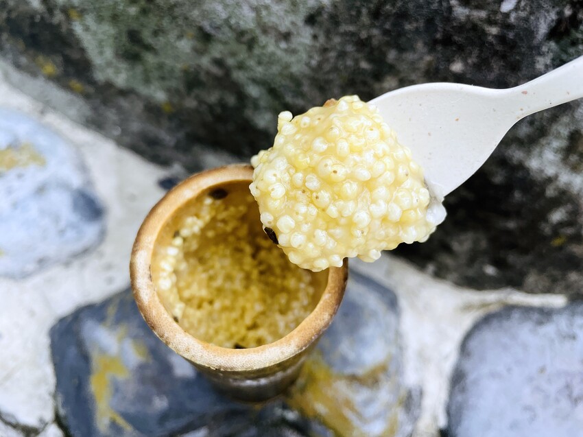 【蟬說：和社山林】教育中心四人房ｘ手作體驗│蟬說雅築ｘ泡山林秘境溫泉│深度走訪羅娜部落ｘ體驗木杵敲擊│梅子夢工廠ｘ梅精酵素霜淇淋