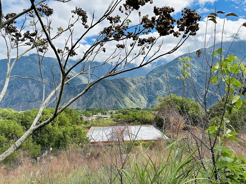 【蟬說：和社山林】教育中心四人房ｘ手作體驗│蟬說雅築ｘ泡山林秘境溫泉│深度走訪羅娜部落ｘ體驗木杵敲擊│梅子夢工廠ｘ梅精酵素霜淇淋