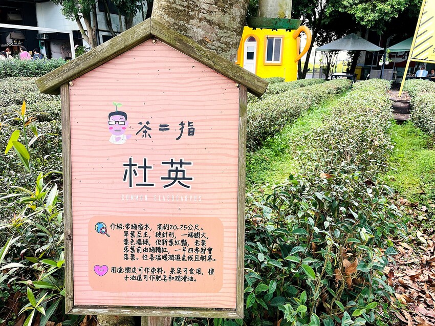 【茶二指故事館】南投名間熱門景點！巨型珍奶超好拍！買茶葉免費住「春秋茶事x彩虹水管屋」，獨家「白鷺紅茶拉麵」必吃！