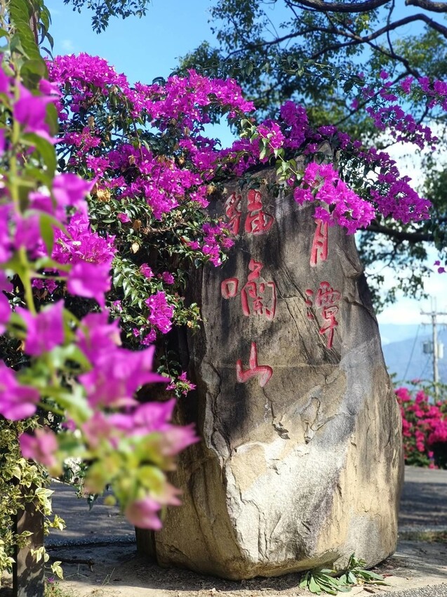 380176.jpg - 【南投】全台最親民的散步小百岳no49。日月潭貓囒山1.35k飽覽超美日月潭日出風光