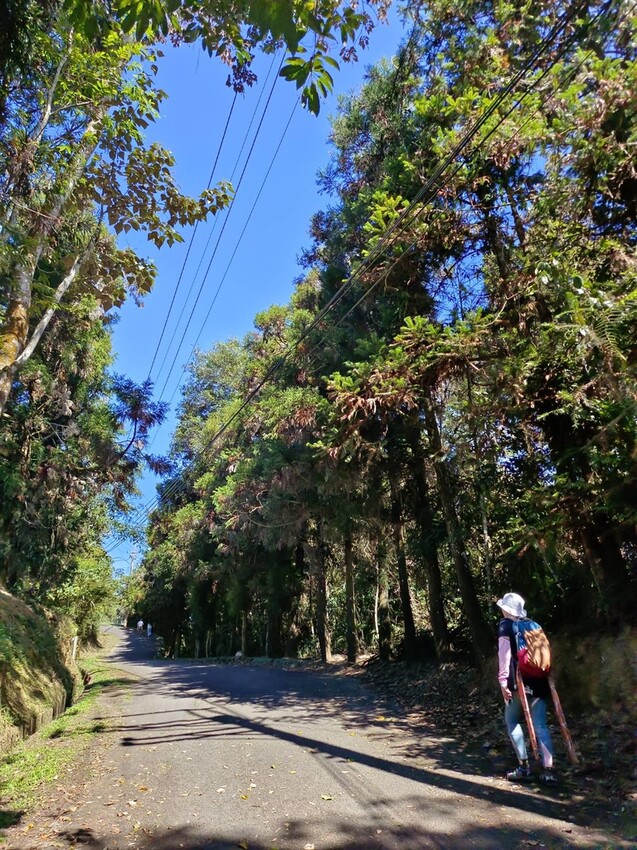 380199.jpg - 【南投】全台最親民的散步小百岳no49。日月潭貓囒山1.35k飽覽超美日月潭日出風光