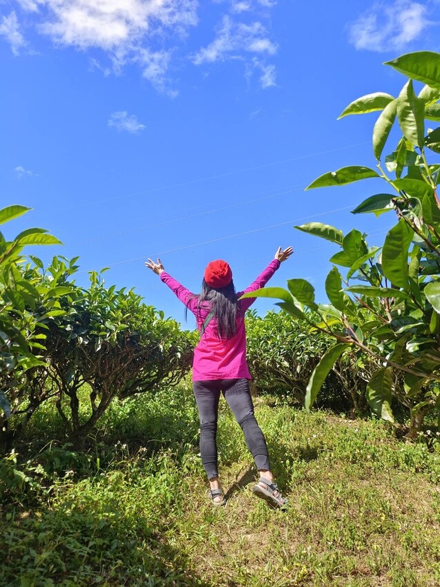 380194.jpg - 【南投】全台最親民的散步小百岳no49。日月潭貓囒山1.35k飽覽超美日月潭日出風光