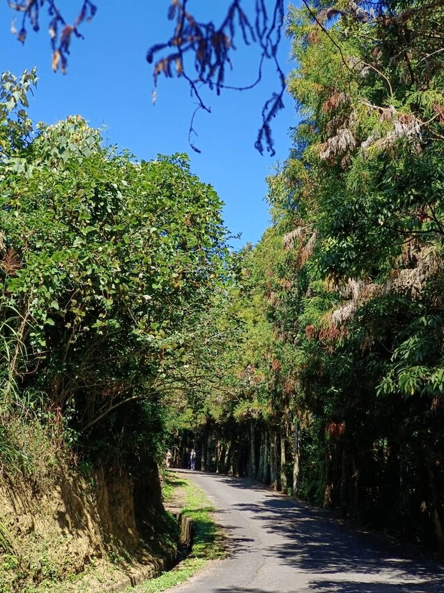 380209.jpg - 【南投】全台最親民的散步小百岳no49。日月潭貓囒山1.35k飽覽超美日月潭日出風光