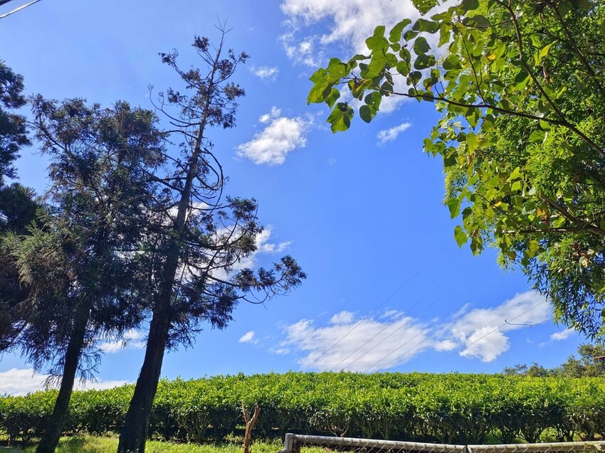 380193.jpg - 【南投】全台最親民的散步小百岳no49。日月潭貓囒山1.35k飽覽超美日月潭日出風光