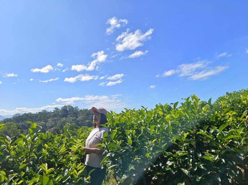 380197.jpg - 【南投】全台最親民的散步小百岳no49。日月潭貓囒山1.35k飽覽超美日月潭日出風光
