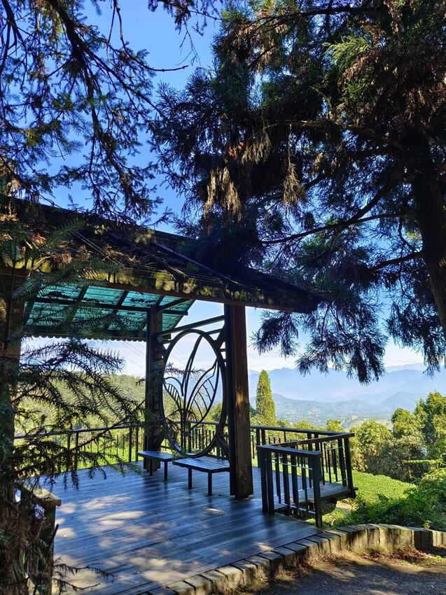 380206.jpg - 【南投】全台最親民的散步小百岳no49。日月潭貓囒山1.35k飽覽超美日月潭日出風光