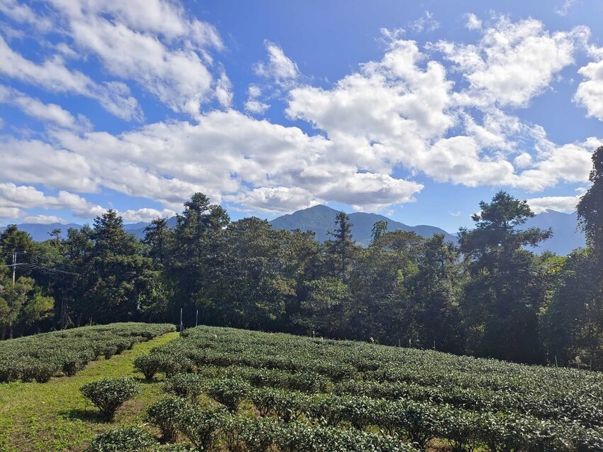 380191.jpg - 【南投】全台最親民的散步小百岳no49。日月潭貓囒山1.35k飽覽超美日月潭日出風光