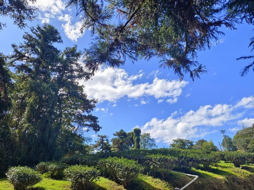 380192.jpg - 【南投】全台最親民的散步小百岳no49。日月潭貓囒山1.35k飽覽超美日月潭日出風光