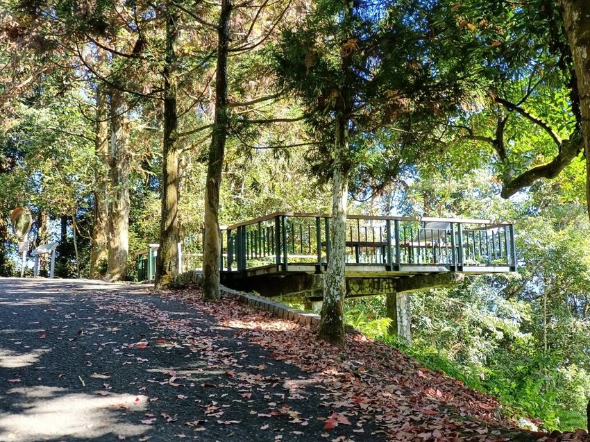 380213.jpg - 【南投】全台最親民的散步小百岳no49。日月潭貓囒山1.35k飽覽超美日月潭日出風光