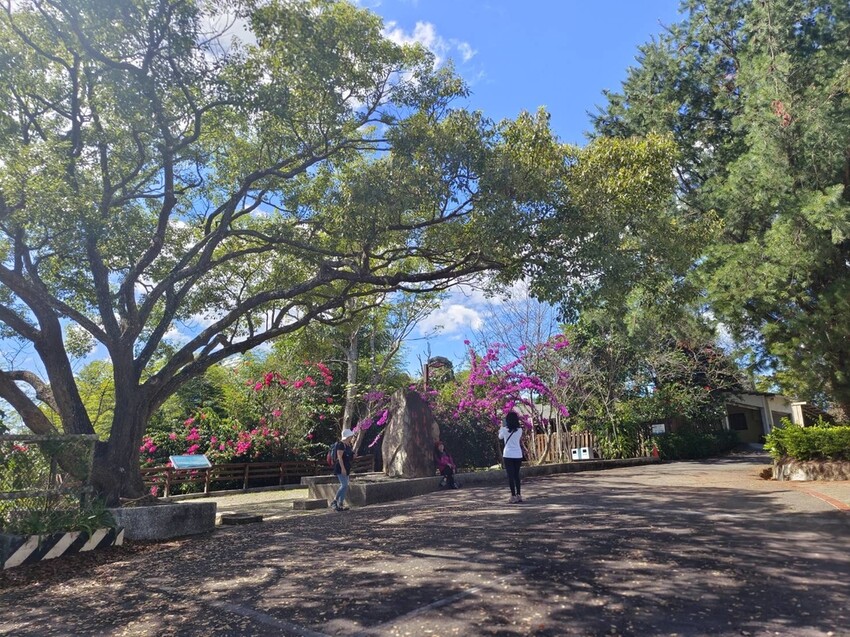 380186.jpg - 【南投】全台最親民的散步小百岳no49。日月潭貓囒山1.35k飽覽超美日月潭日出風光