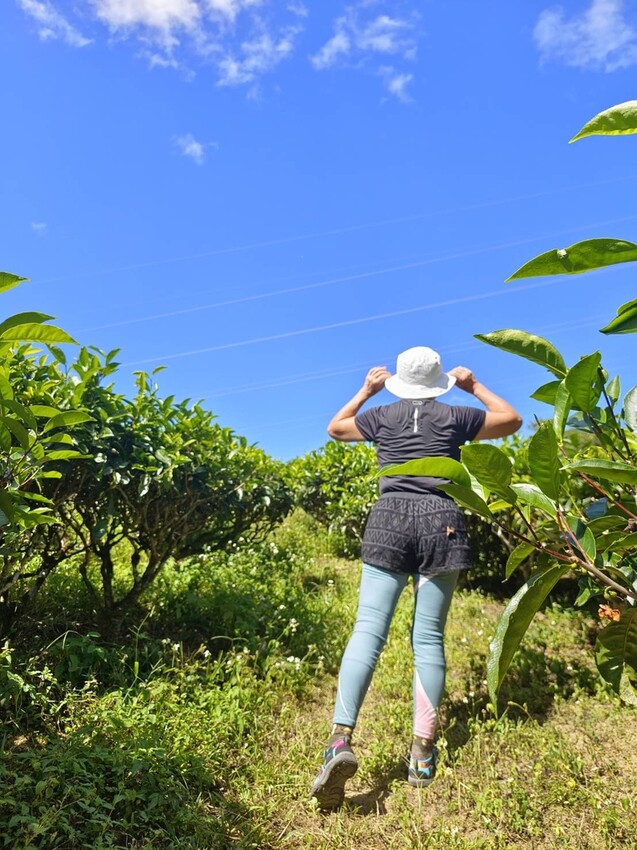 380195.jpg - 【南投】全台最親民的散步小百岳no49。日月潭貓囒山1.35k飽覽超美日月潭日出風光