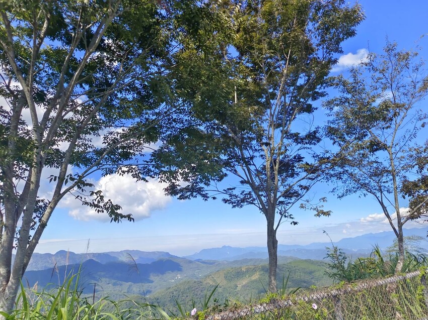 380179.jpg - 【南投】全台最親民的散步小百岳no49。日月潭貓囒山1.35k飽覽超美日月潭日出風光