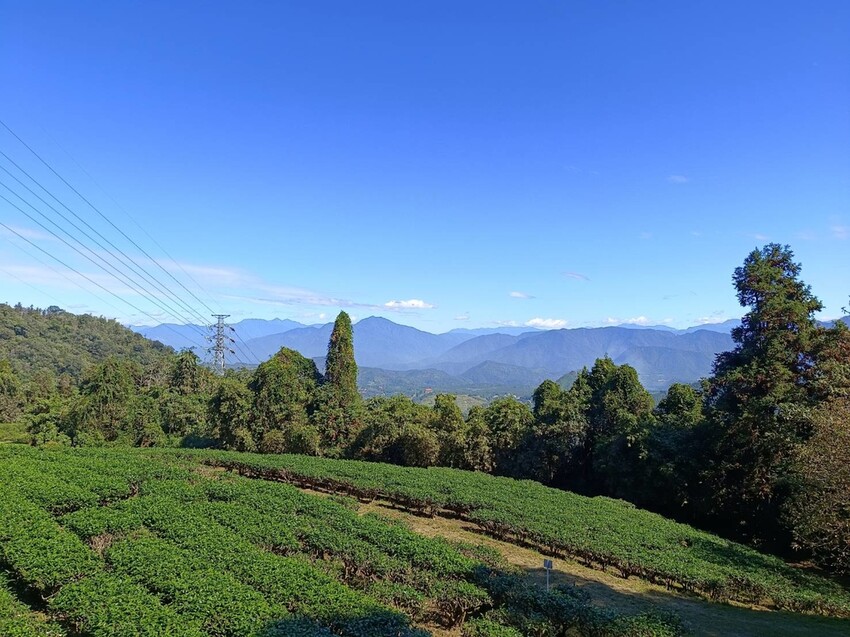 380205.jpg - 【南投】全台最親民的散步小百岳no49。日月潭貓囒山1.35k飽覽超美日月潭日出風光