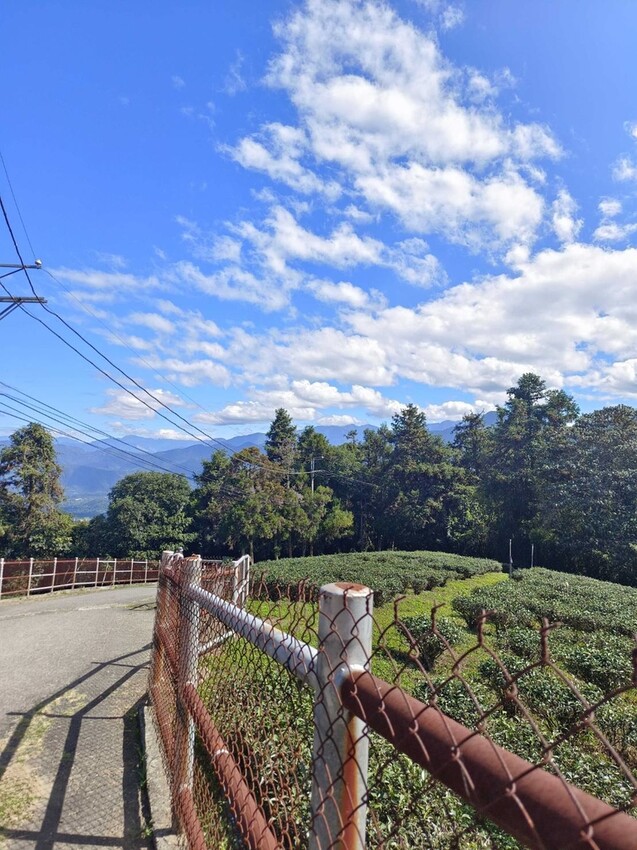 380190.jpg - 【南投】全台最親民的散步小百岳no49。日月潭貓囒山1.35k飽覽超美日月潭日出風光