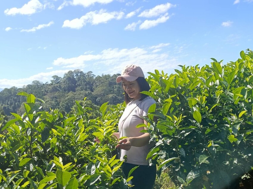 380196.jpg - 【南投】全台最親民的散步小百岳no49。日月潭貓囒山1.35k飽覽超美日月潭日出風光