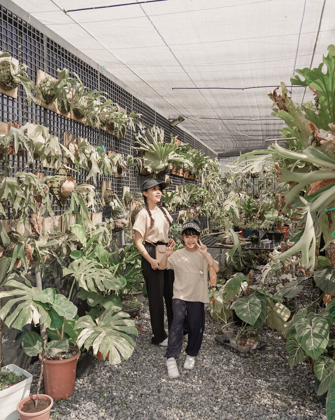 屏東親子行程｜2022青農領航 十大食農體驗經典路線 萬丹777 一騎遊竹林 體驗不一樣的萬丹一日遊33B.jpg