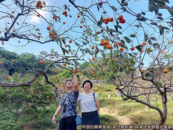 味衛佳17-柿子園留影.jpg