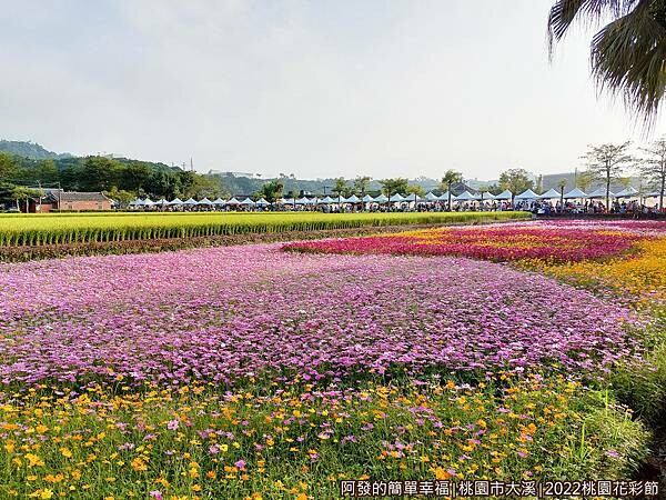 2022桃園花彩節05-李騰芳古宅與市集方向.jpg