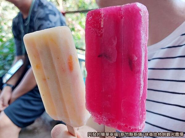 味衛佳21-柿子冰棒洛神冰棒.jpg
