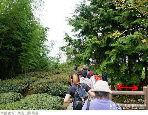 大崙山觀景臺-15.jpg 大崙山觀景臺-15.jpg