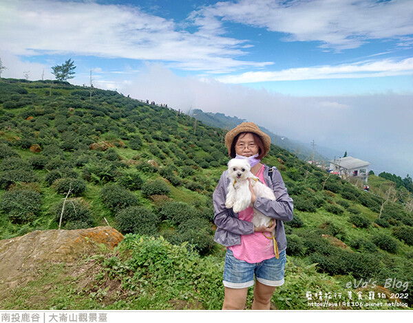 大崙山觀景臺-11.jpg 大崙山觀景臺-11.jpg