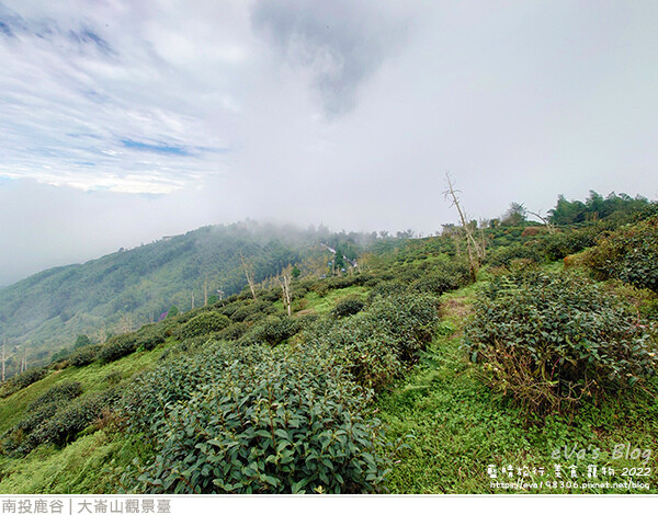 大崙山觀景臺-29.jpg 大崙山觀景臺-29.jpg
