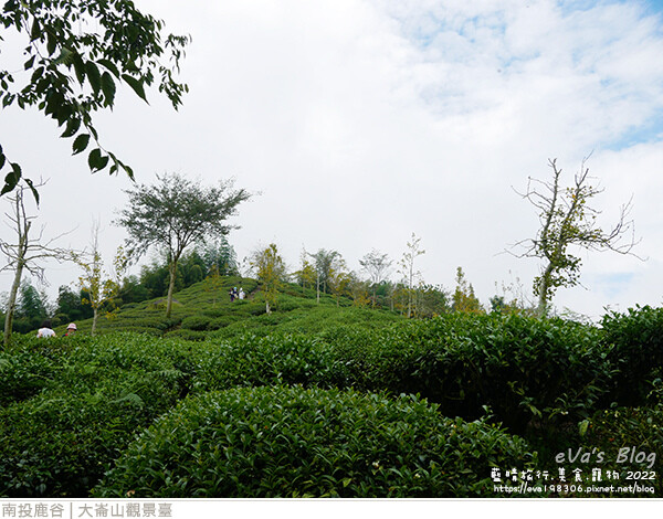 大崙山觀景臺-05.jpg 大崙山觀景臺-05.jpg