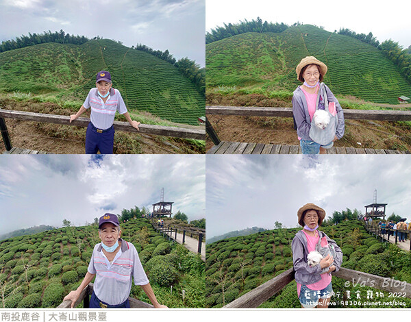 大崙山觀景臺-20.jpg 大崙山觀景臺-20.jpg