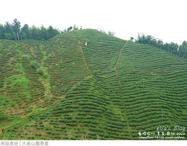 大崙山觀景臺-19.jpg 大崙山觀景臺-19.jpg