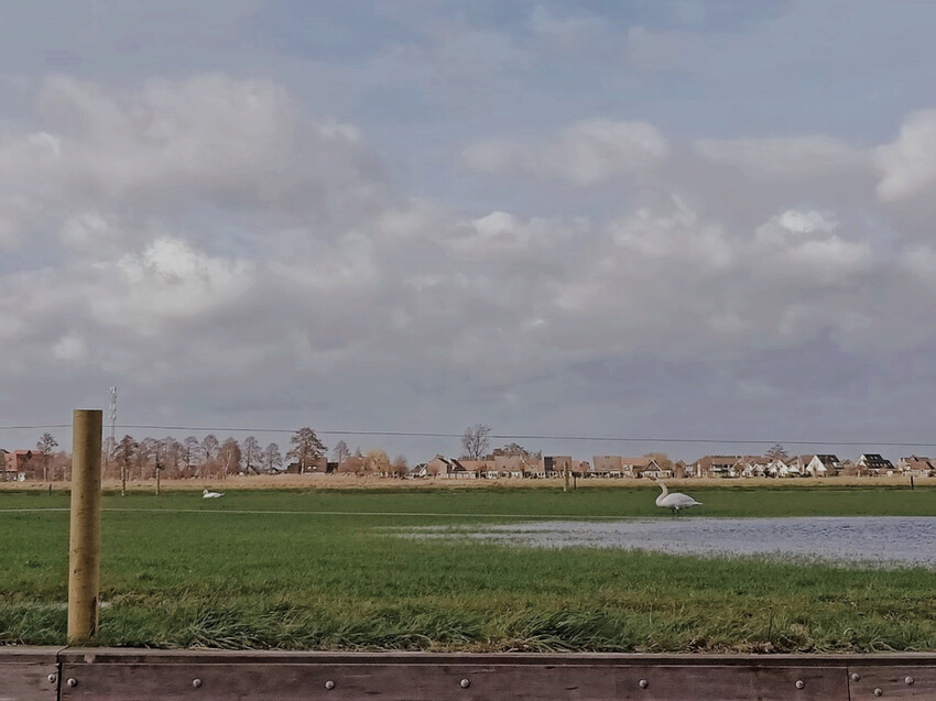 荷蘭威尼斯:羊角村Giethoorn浪漫遊運河、晚餐吃Smit Giethoorn