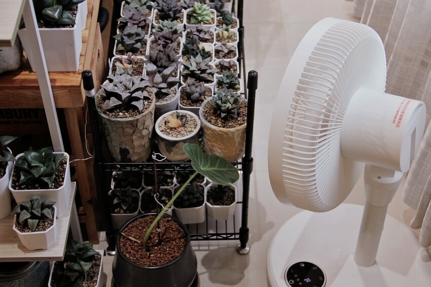 MIZAI鋅瀞扇:無線風扇、充電式循環扇，ECO智能感溫感受自然風