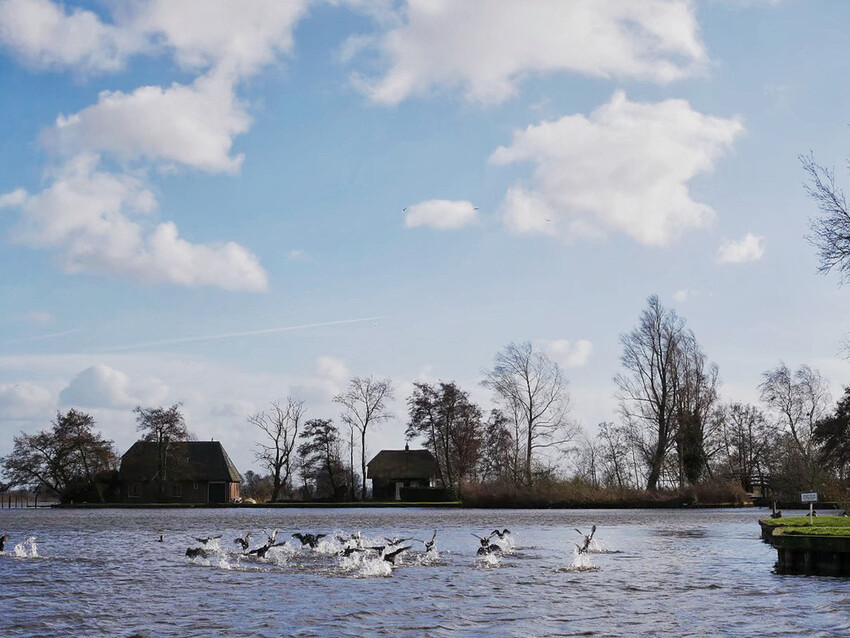 荷蘭威尼斯:羊角村Giethoorn浪漫遊運河、晚餐吃Smit Giethoorn