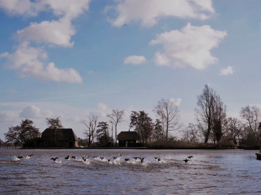 荷蘭威尼斯:羊角村Giethoorn浪漫遊運河、晚餐吃Smit Giethoorn