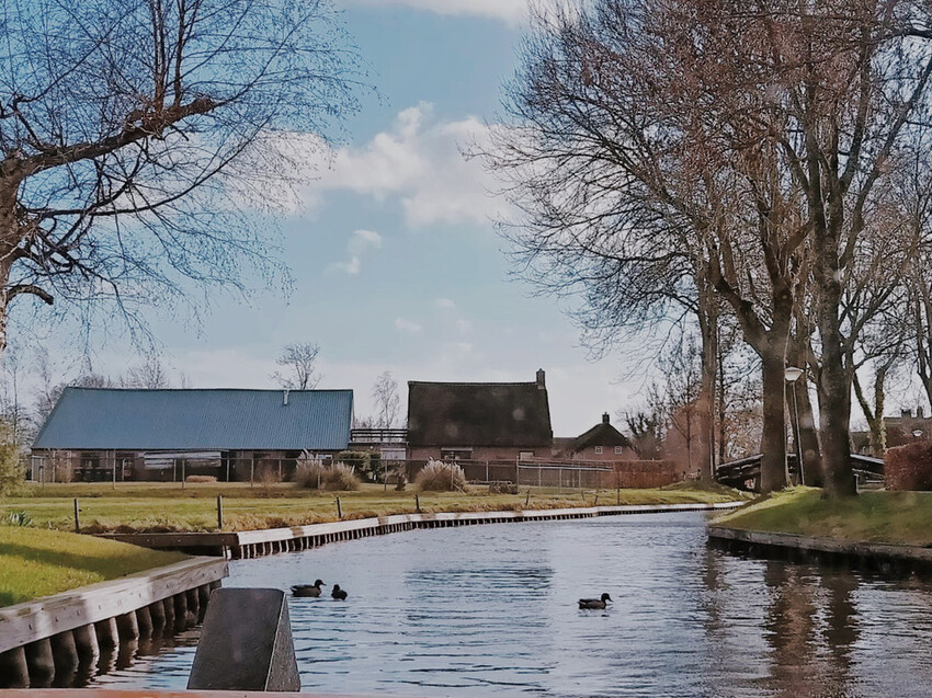 荷蘭威尼斯:羊角村Giethoorn浪漫遊運河、晚餐吃Smit Giethoorn